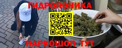 молекула духа Можга
