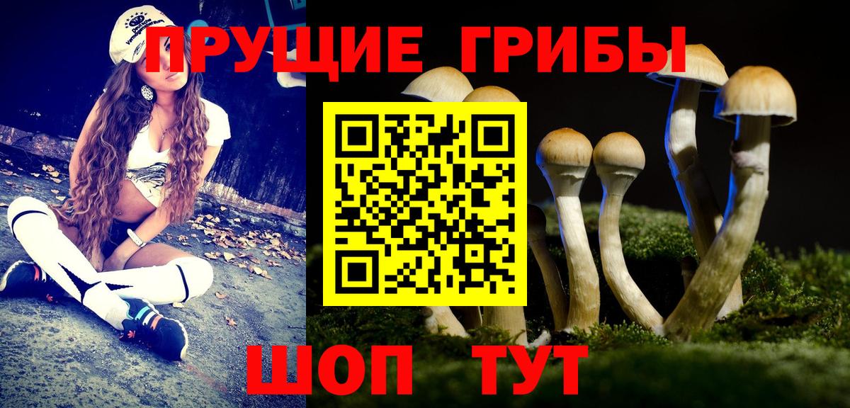 Галлюциногенные грибы GOLDEN TEACHER  Галлюциногенные грибы Magic Shrooms  Владивосток  Вход с VPN 