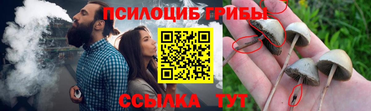 Псилоцибиновые грибы GOLDEN TEACHER Владивосток
